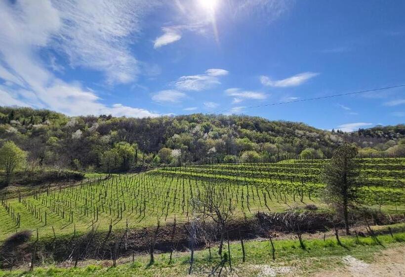 غرفة قياسية, Il Tempio Nel Bosco The Rustic Rooms & Wine