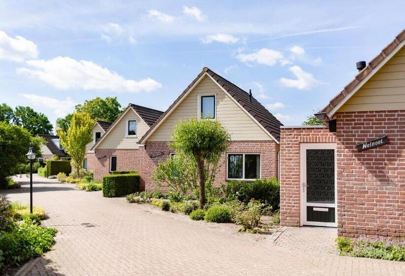 3人卧室标准洋房, Summio Bungalowpark De Riethorst