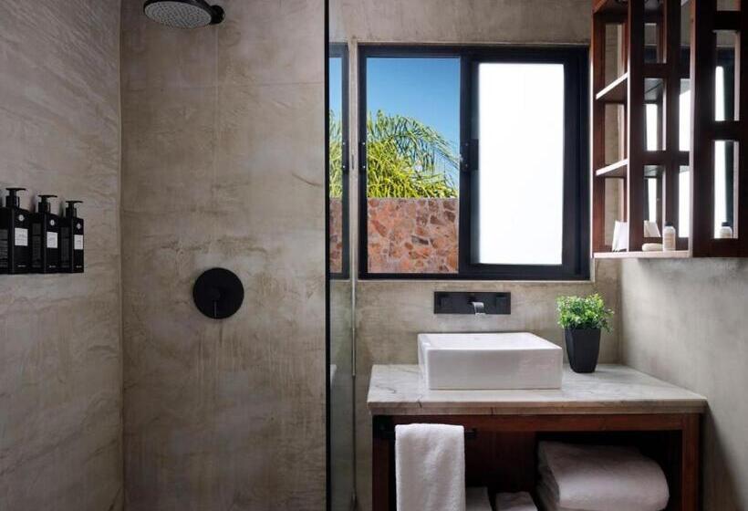 غرفة قياسية, Surya