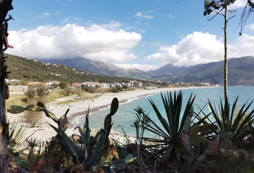 דירת חדר, Magarella