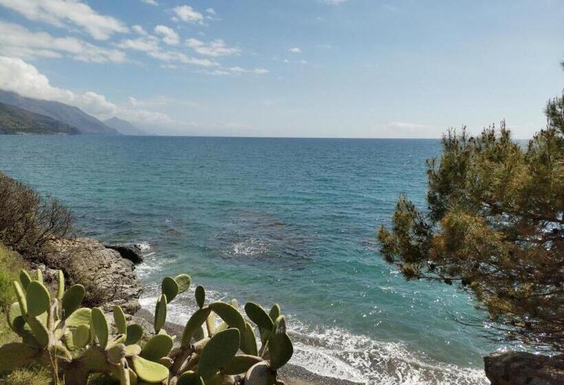 דירת חדר, Magarella