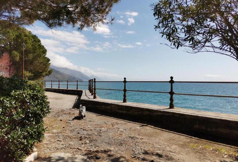 דירת חדר נוף לגינה, Magarella