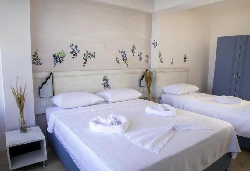 غرفة قياسية مطلّة علي البحر, Pedasos Altinel Otel