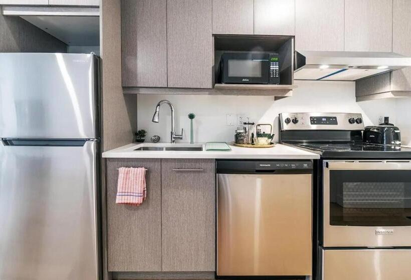 Escritório Deluxe, Rozenhaus Montreal