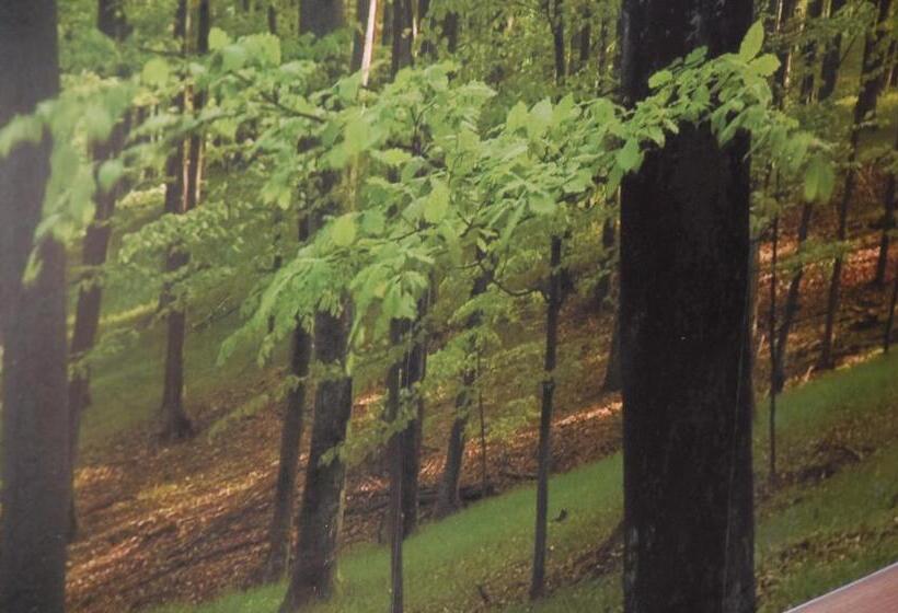 ガーデンビュースタンダードルーム, Bed & Cook