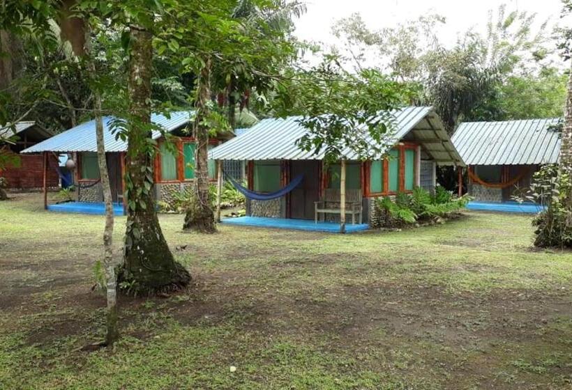 스탠다드 룸, Turqui Paradise