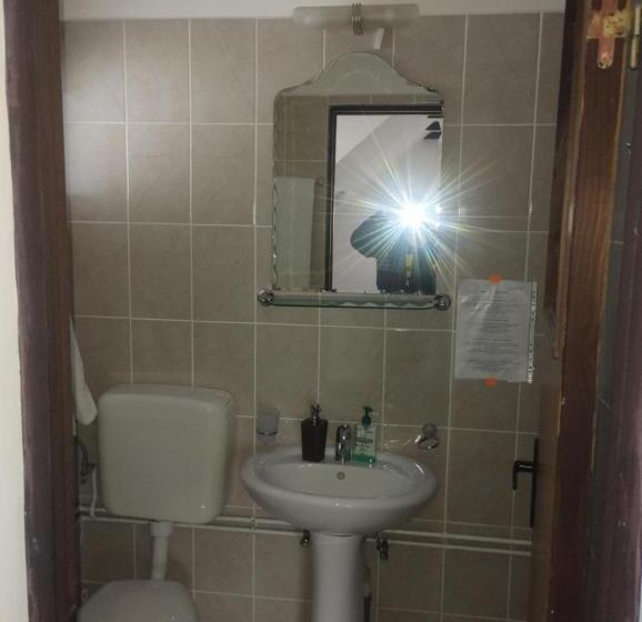 침실 4개 주택, Pensiune La Iulian