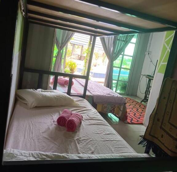 四人豪华间, Dangau Sala D Kontena