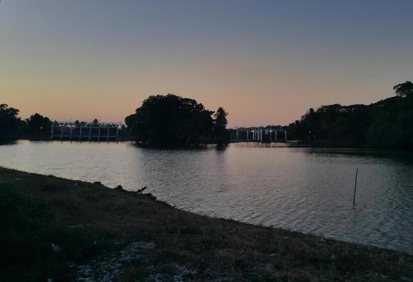 经济房, Dangau Sala D Kontena