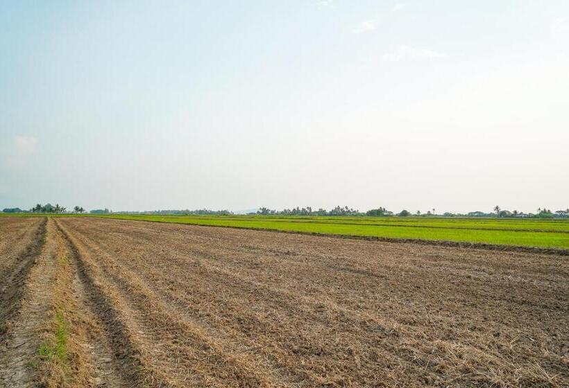 一居室别墅, Dangau Sala D Kontena