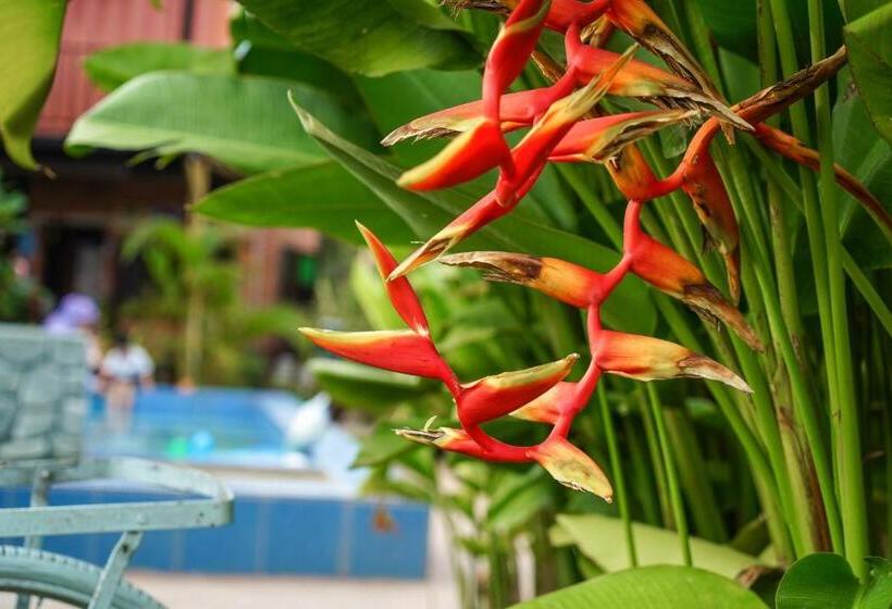 一居室别墅, Dangau Sala D Kontena