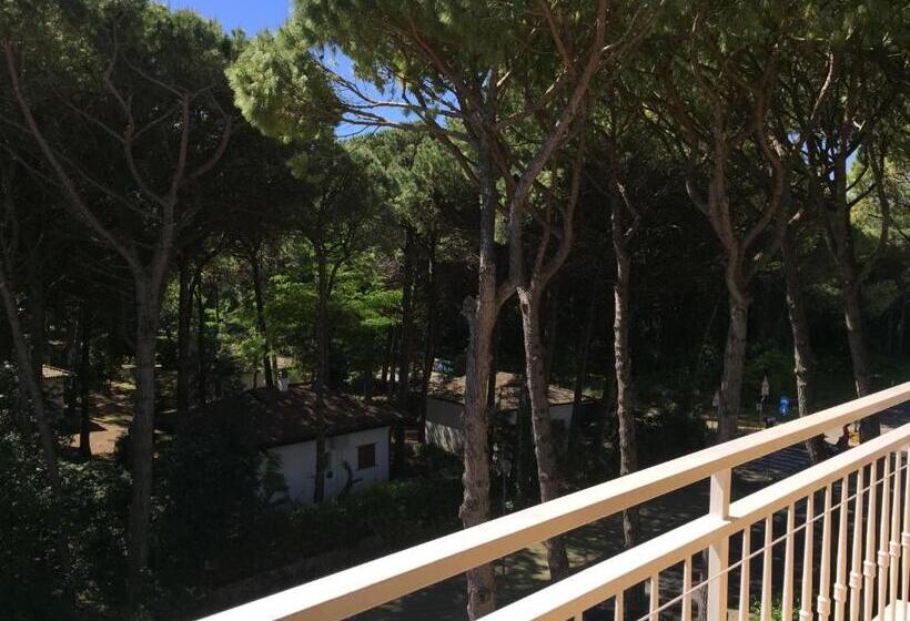 חדר סטנדרט לשלושה עם מרפסת, Milano