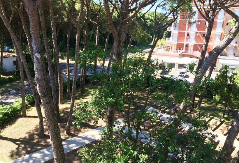 חדר סטנדרט עם מרפסת, Milano