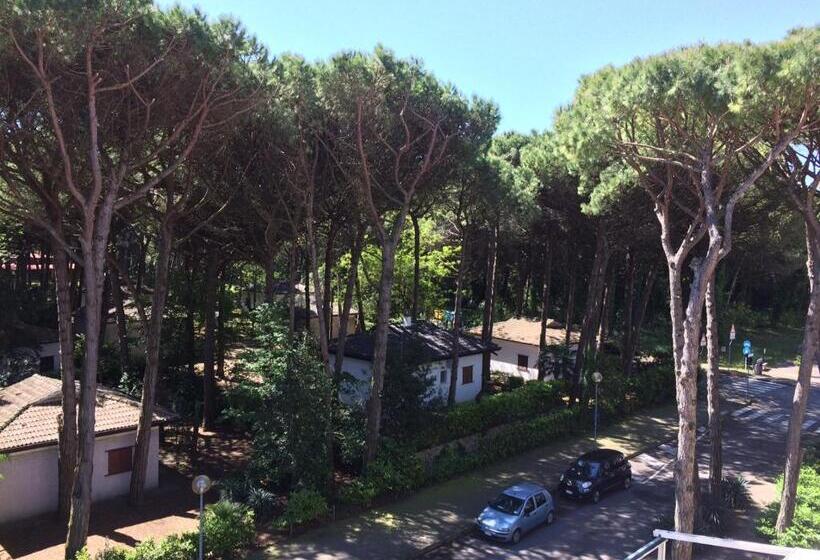 家庭小型套房, Milano