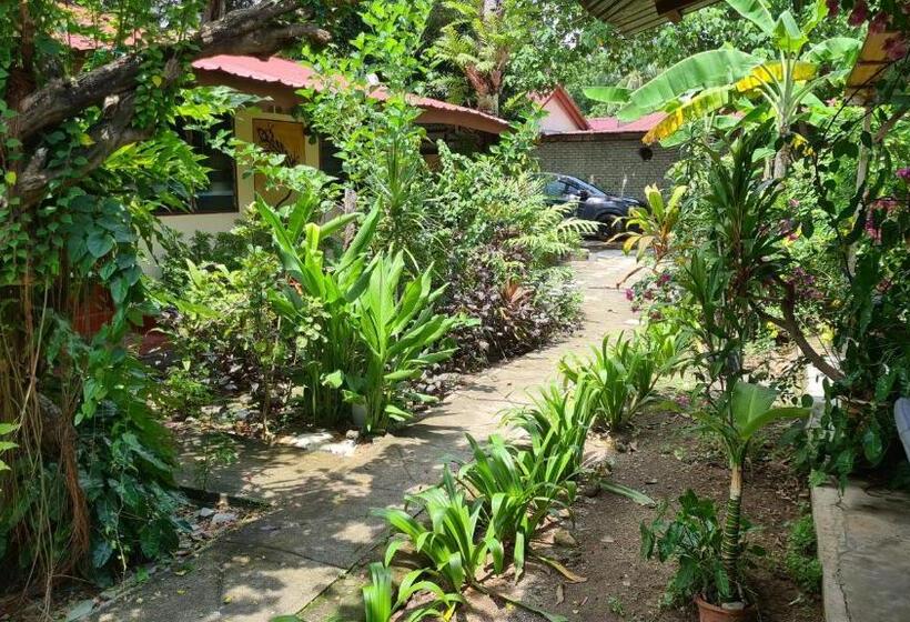 Номер Стандарт Совместная Ванная, Gecko Guesthouse