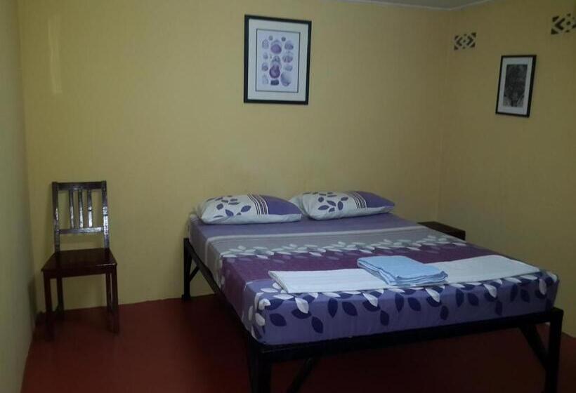 غرفة قياسية حمام مشترك, Gecko Guesthouse