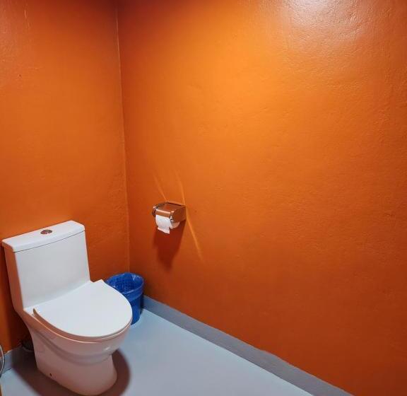غرفة ديلوكس عائلية, Gecko Guesthouse