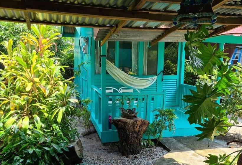 اتاق استاندارد با چشم‌انداز باغ, Gecko Guesthouse