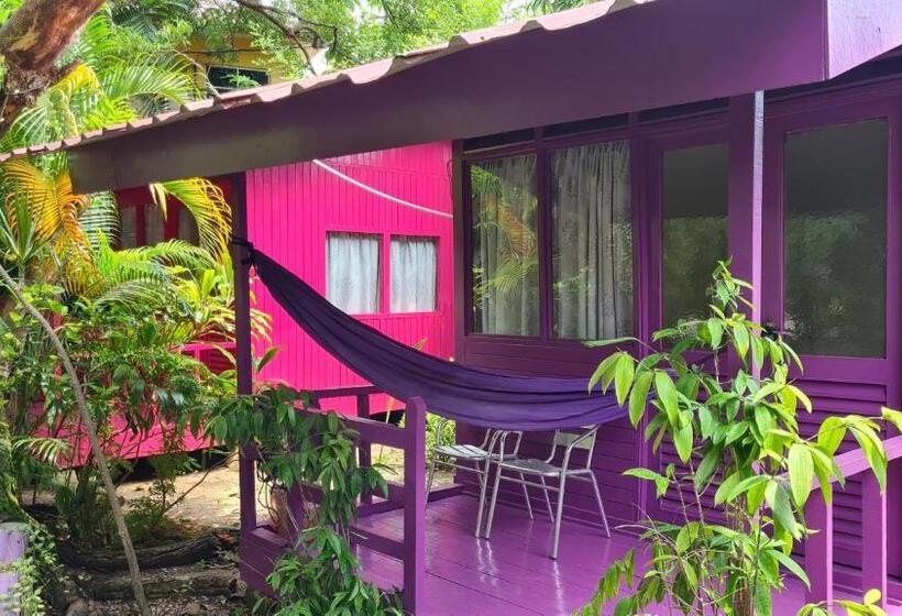 Номер Стандарт Вид на Сад, Gecko Guesthouse