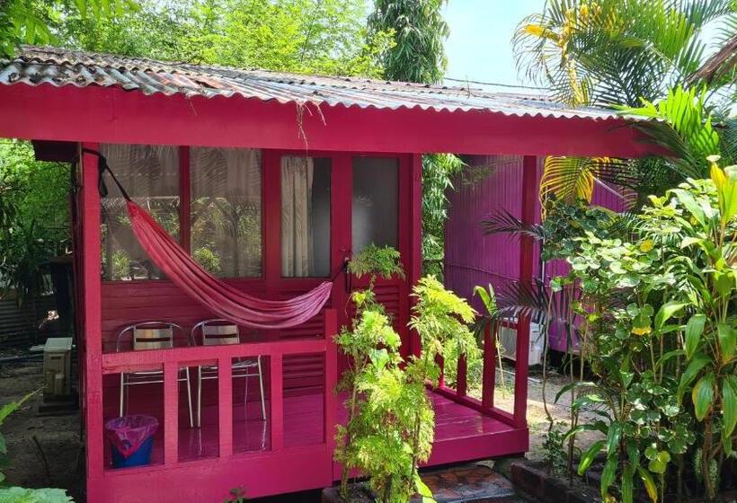 اتاق استاندارد با چشم‌انداز باغ, Gecko Guesthouse