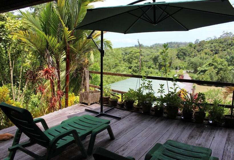 Номер Стандарт с Террасой, Nanga Damai Homestay