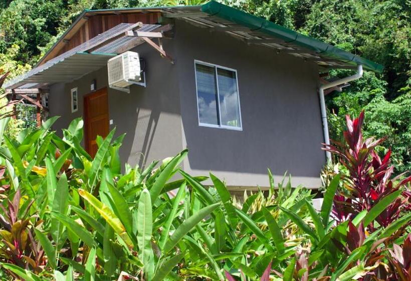 ‫فيلا غرفة نوم واحدة, Nanga Damai Homestay