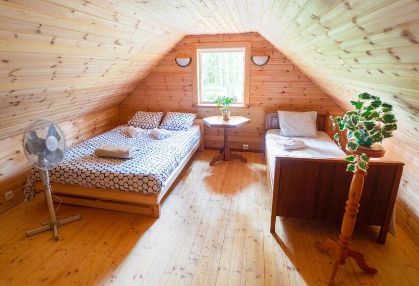 اتاق استاندارد سه تخته با سرویس بهداشتی مشترک, Nature Guest House