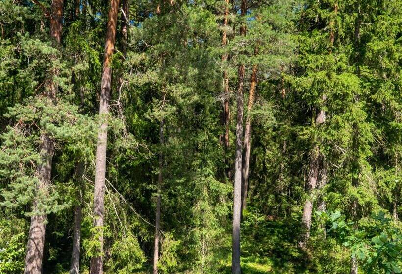 اتاق استاندارد چهارنفره با بالکن, Nature Guest House