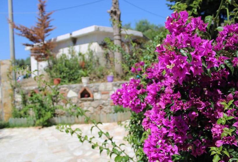 آپارتمان سوپریور 1 خوابه, Penelope S Rooms