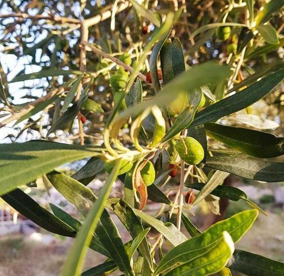 آپارتمان سوپریور 1 خوابه, Penelope S Rooms