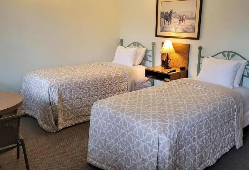Standard-huone, White Willow Motel