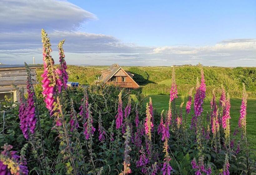 Номер Стандарт Совместная Ванная, Anglesey Outdoors