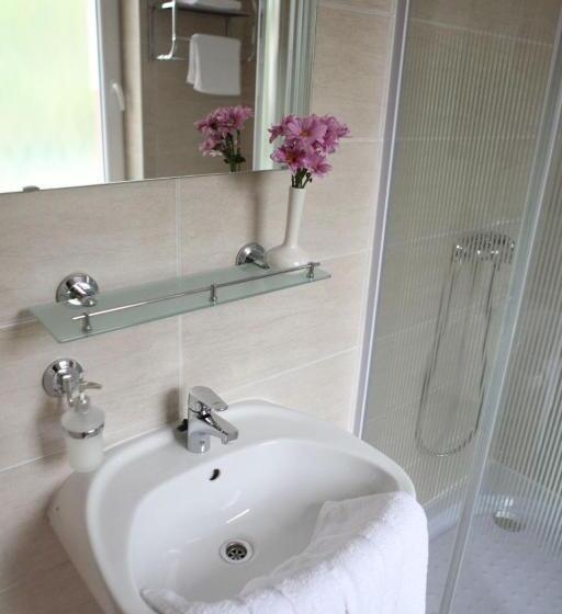 标准单人间, Stan és Panzió