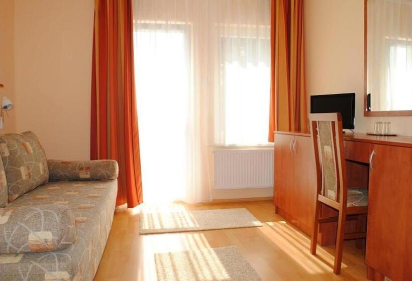 标准单人间, Stan és Panzió