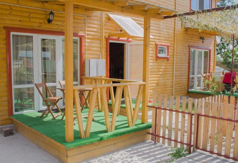 منزل غرفة نوم واحدة, Aviator