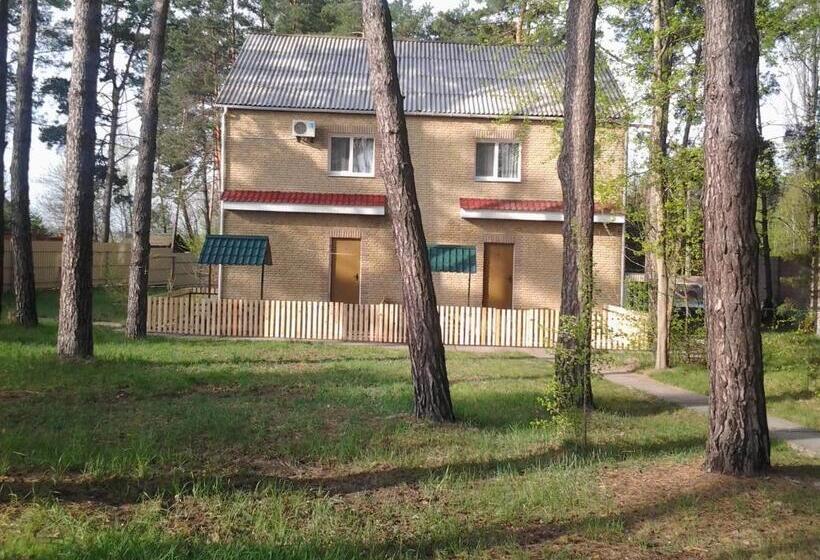 منزل غرفتين نوم, Aviator