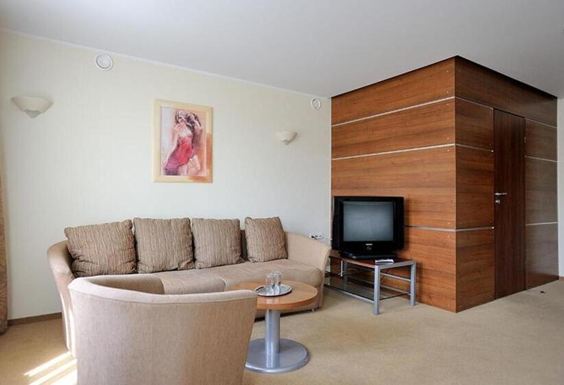 اتاق استاندارد, širvintos Viešbutis