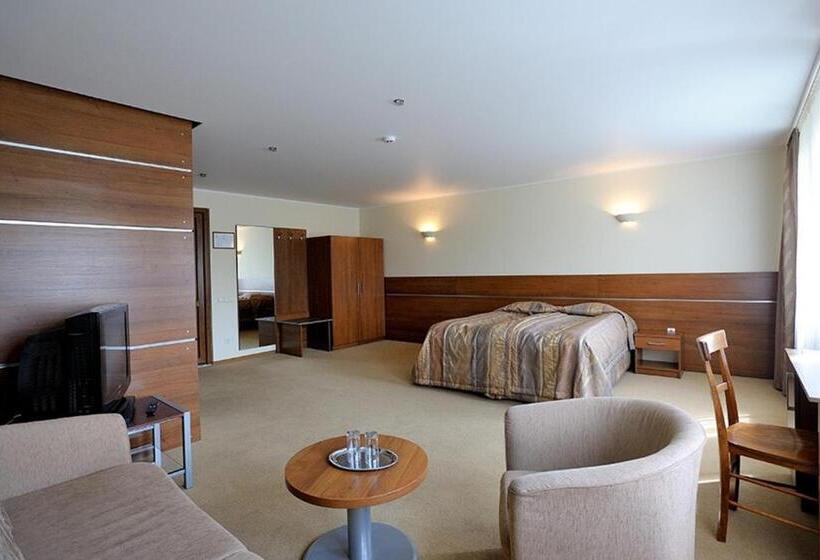 اتاق استاندارد, širvintos Viešbutis