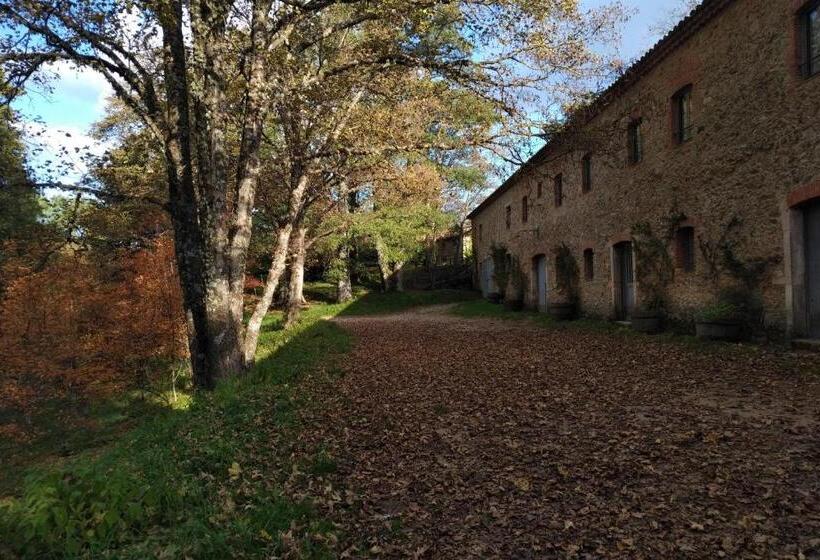 شقة غرفة واحدة مطلة على الحديقة, Torre Camigliati Dimora Storica