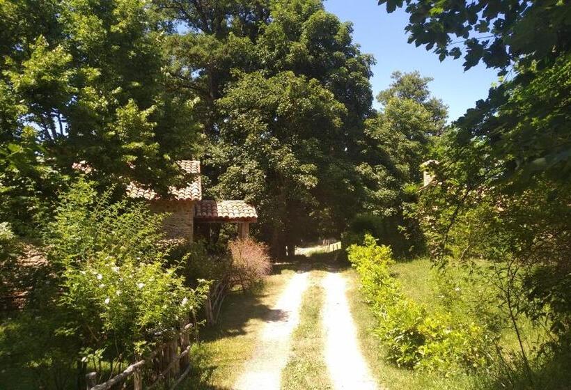 شقة غرفة واحدة مطلة على الحديقة, Torre Camigliati Dimora Storica