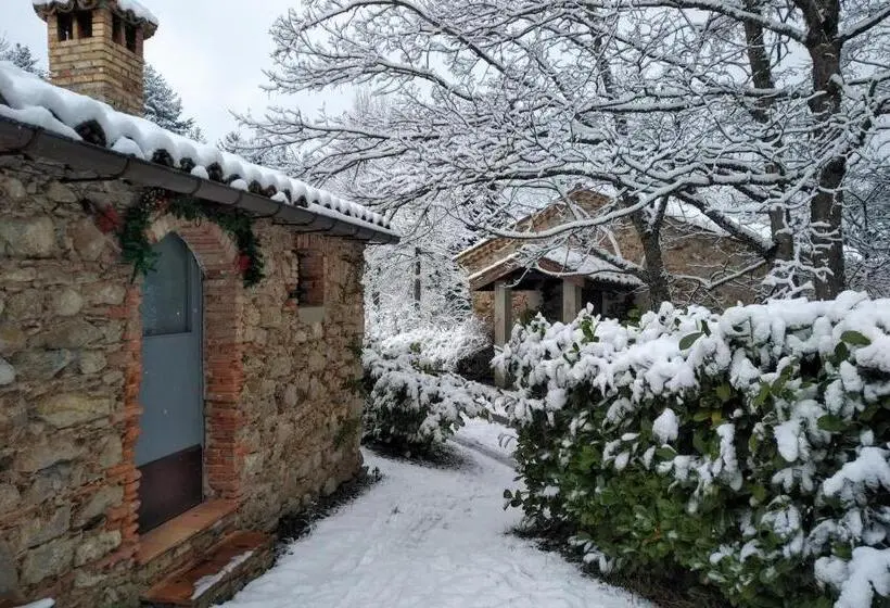 ガーデンビューのスタンダードワンルーム, Torre Camigliati Dimora Storica