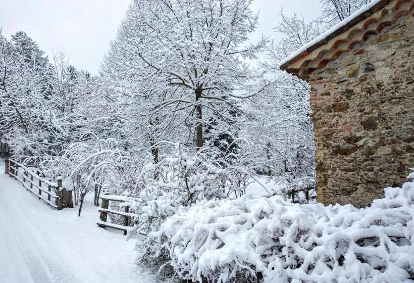 إستوديو قياسى مطلّ علي الحديقة, Torre Camigliati Dimora Storica