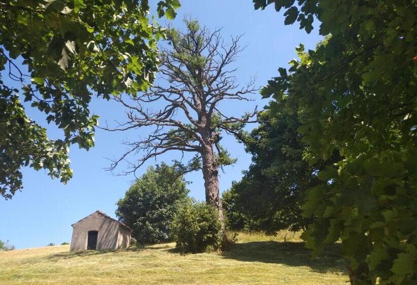 Студио Стандарт Вид на Сад, Torre Camigliati Dimora Storica