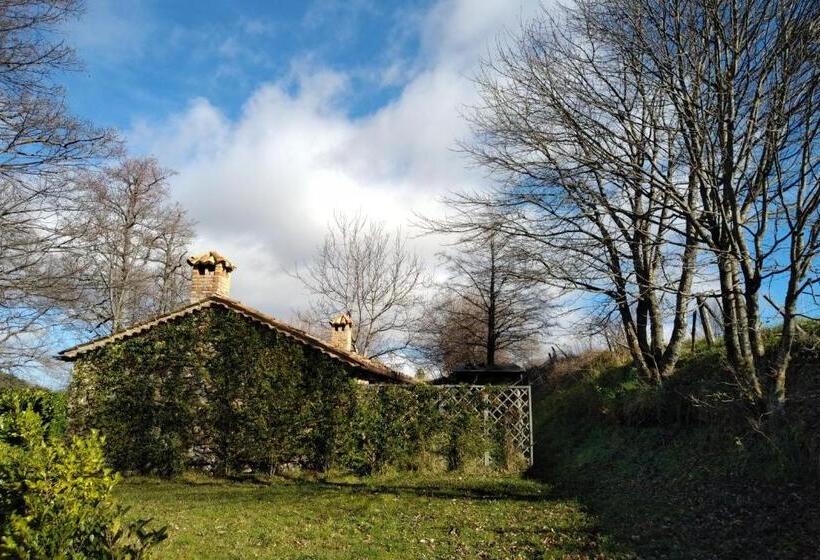 إستوديو قياسى مطلّ علي الحديقة, Torre Camigliati Dimora Storica