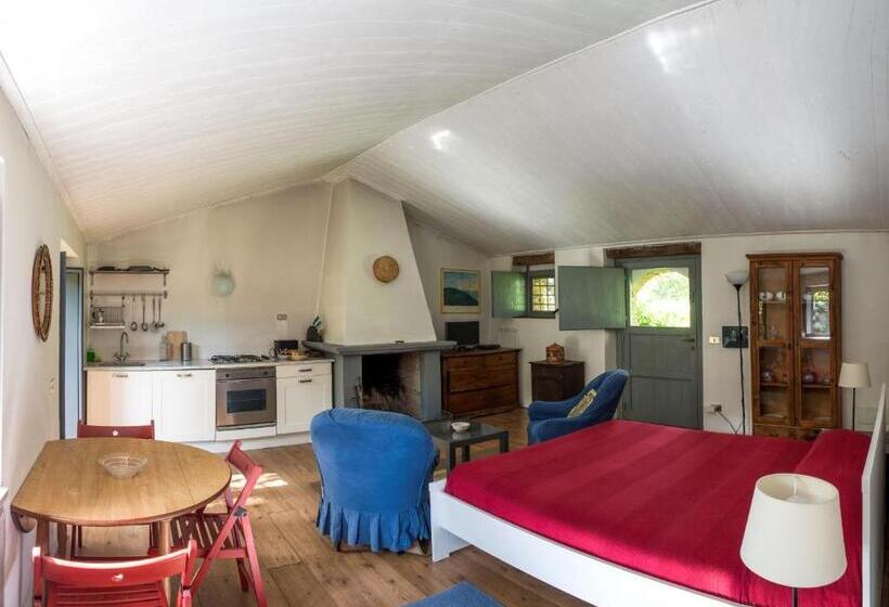 إستوديو قياسى مطلّ علي الحديقة, Torre Camigliati Dimora Storica