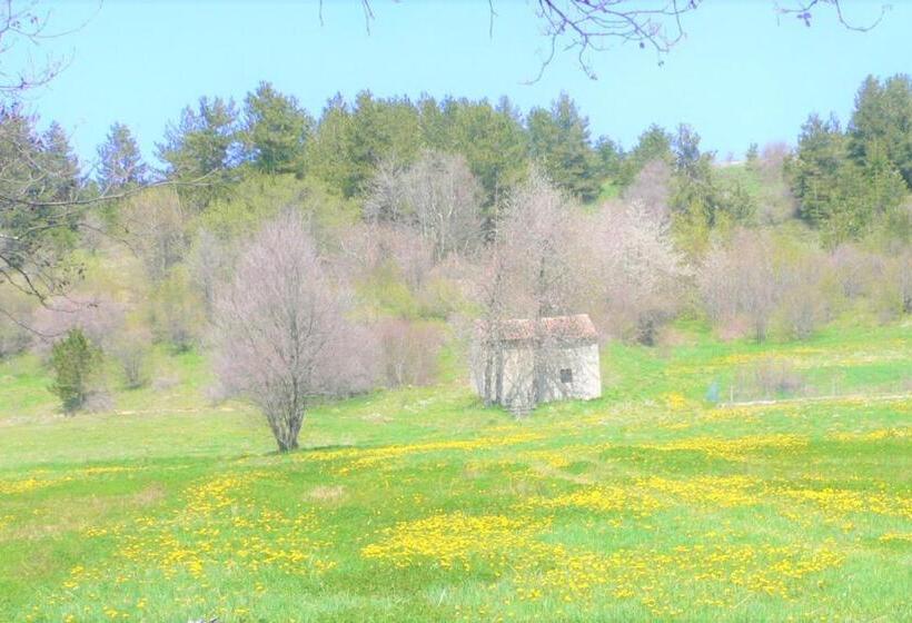 Апартаменты 1 Спальня Вид на Сад, Torre Camigliati Dimora Storica