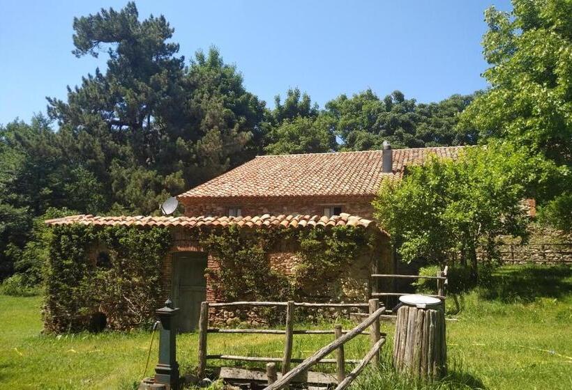 شقة غرفة واحدة مطلة على الحديقة, Torre Camigliati Dimora Storica