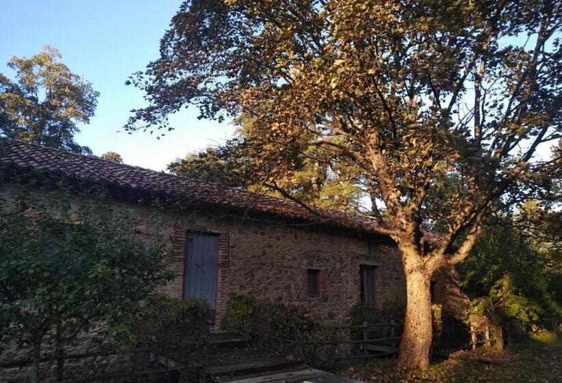 شقة غرفة واحدة مطلة على الحديقة, Torre Camigliati Dimora Storica