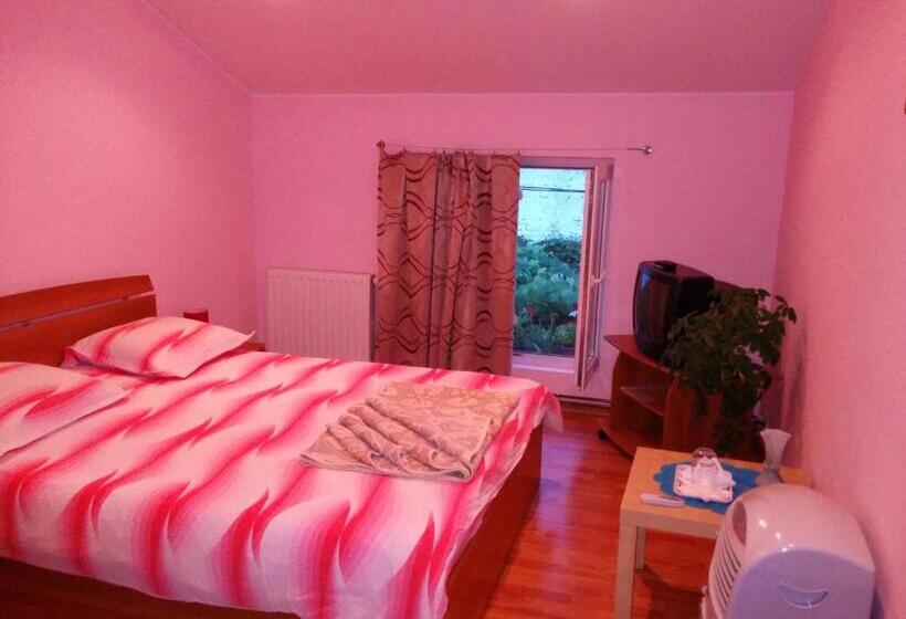 标准间, Pension Casa Anadam