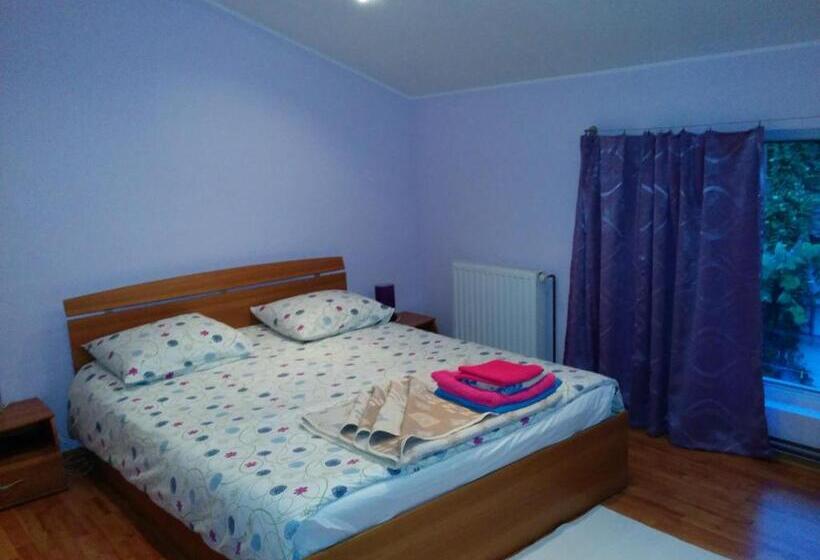 标准间, Pension Casa Anadam